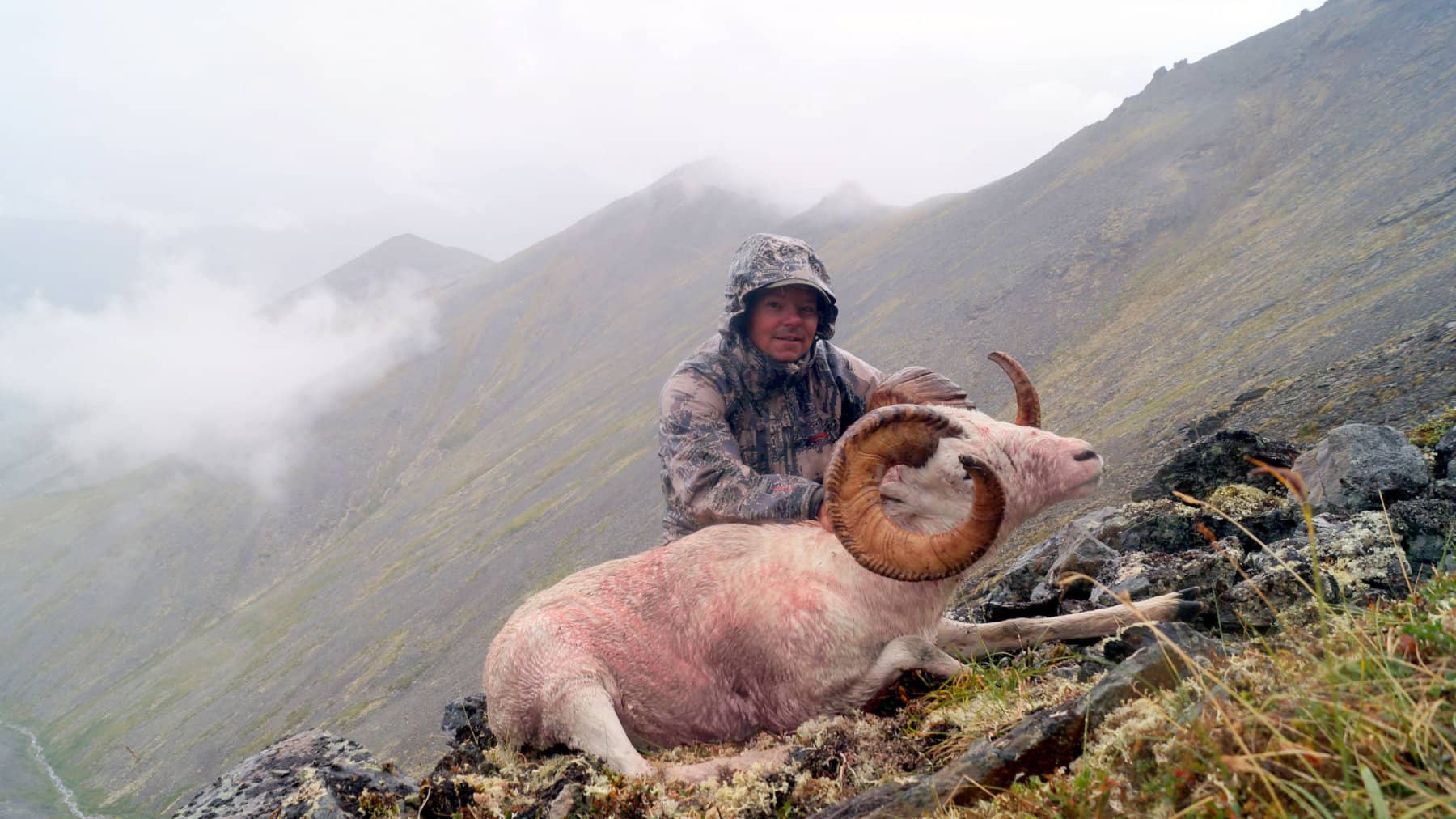 Alaska Dall Sheep Brooks Range Hunts
