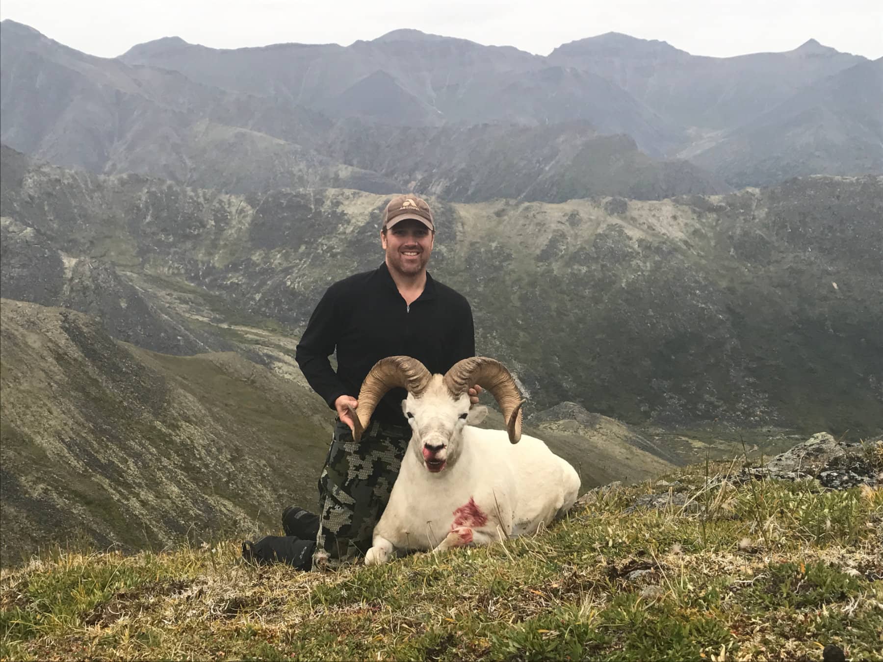 Alaska Dall Sheep Trophy Hunt