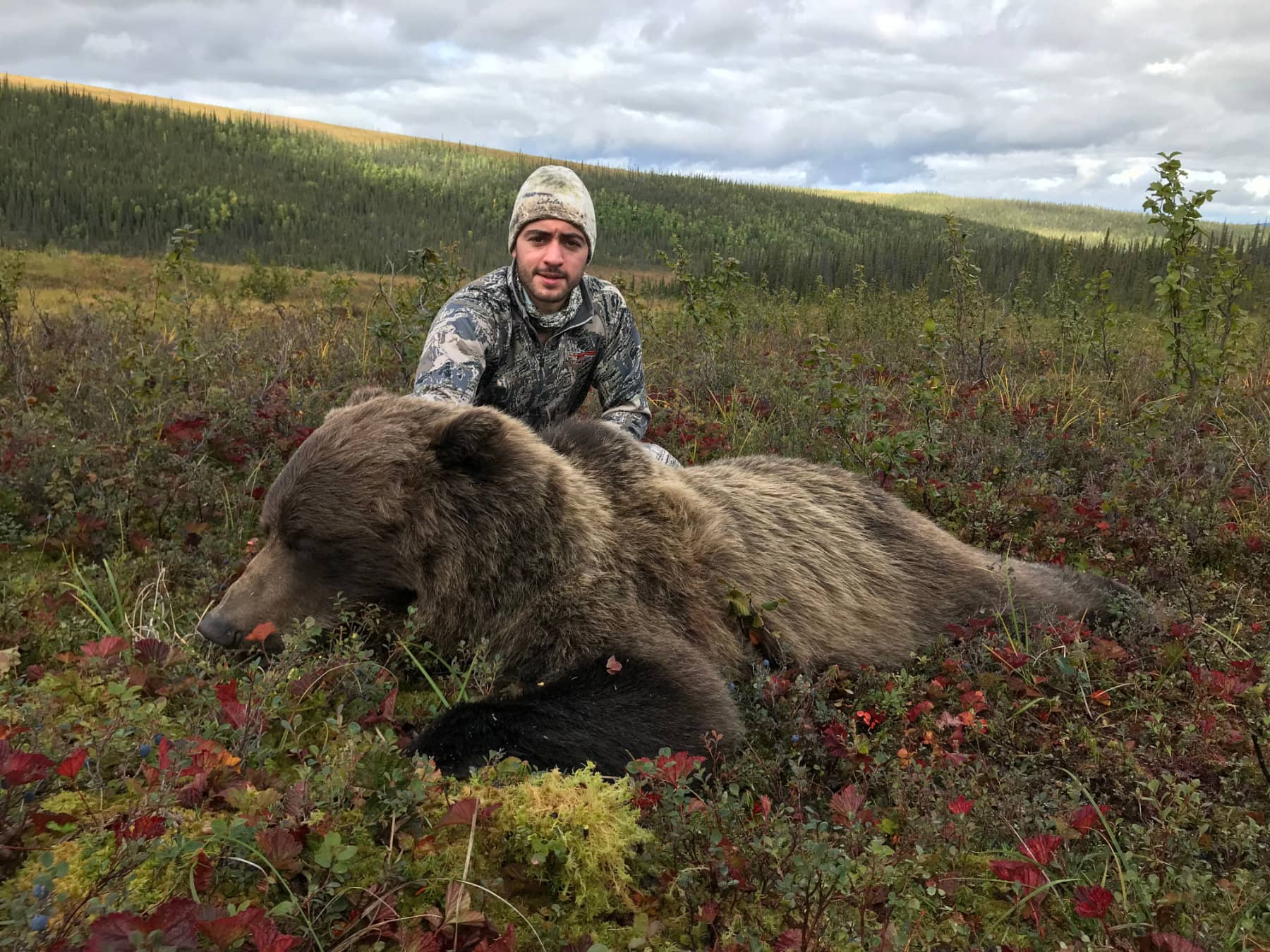 Alaska Grizzly Bear Hunt