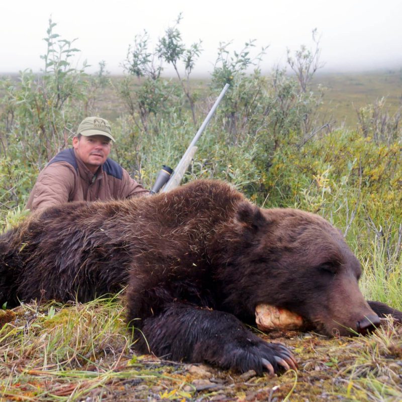 Alaska Grizzly Hunts In The Brooks Range