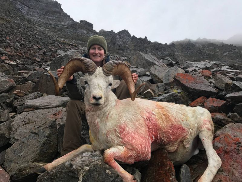 Alaska Guided Dall Sheep Hunt