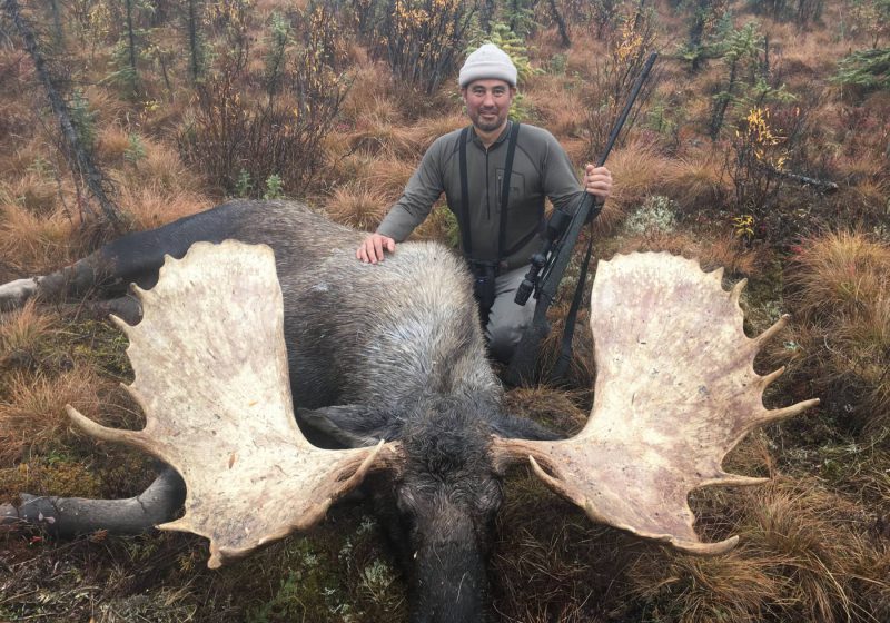 Alaska Moose Hunts