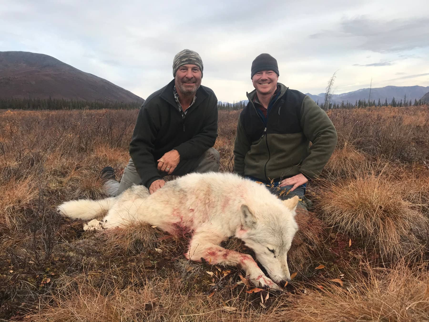 Alaska Wolf Hunt