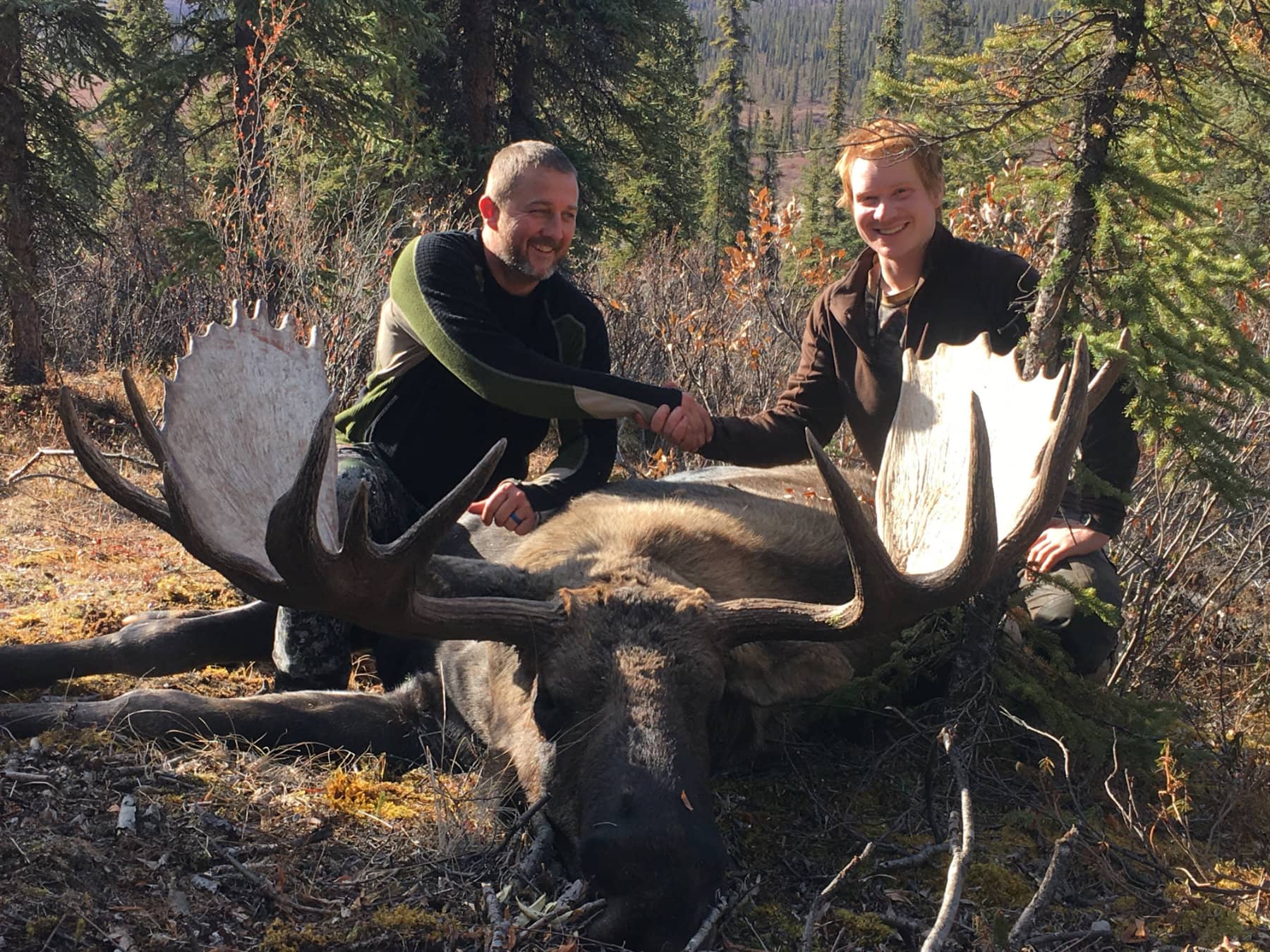 Big Game Alaska Moose Hunts