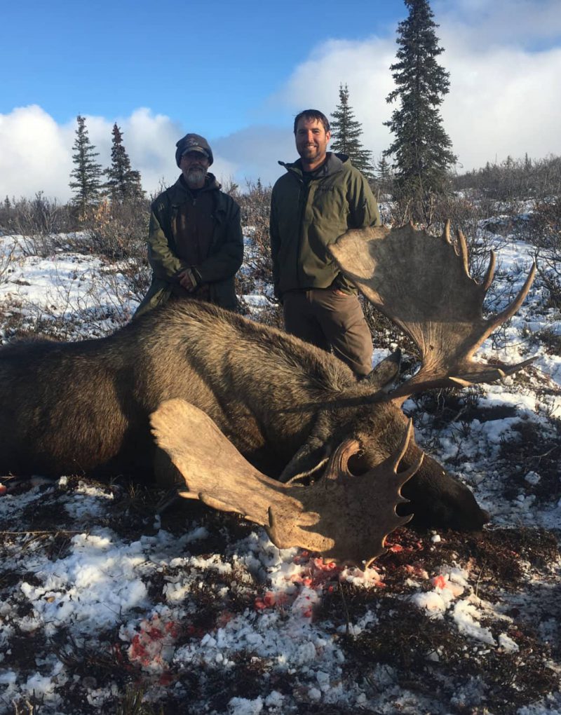 Big Game Guided Moose Hunt