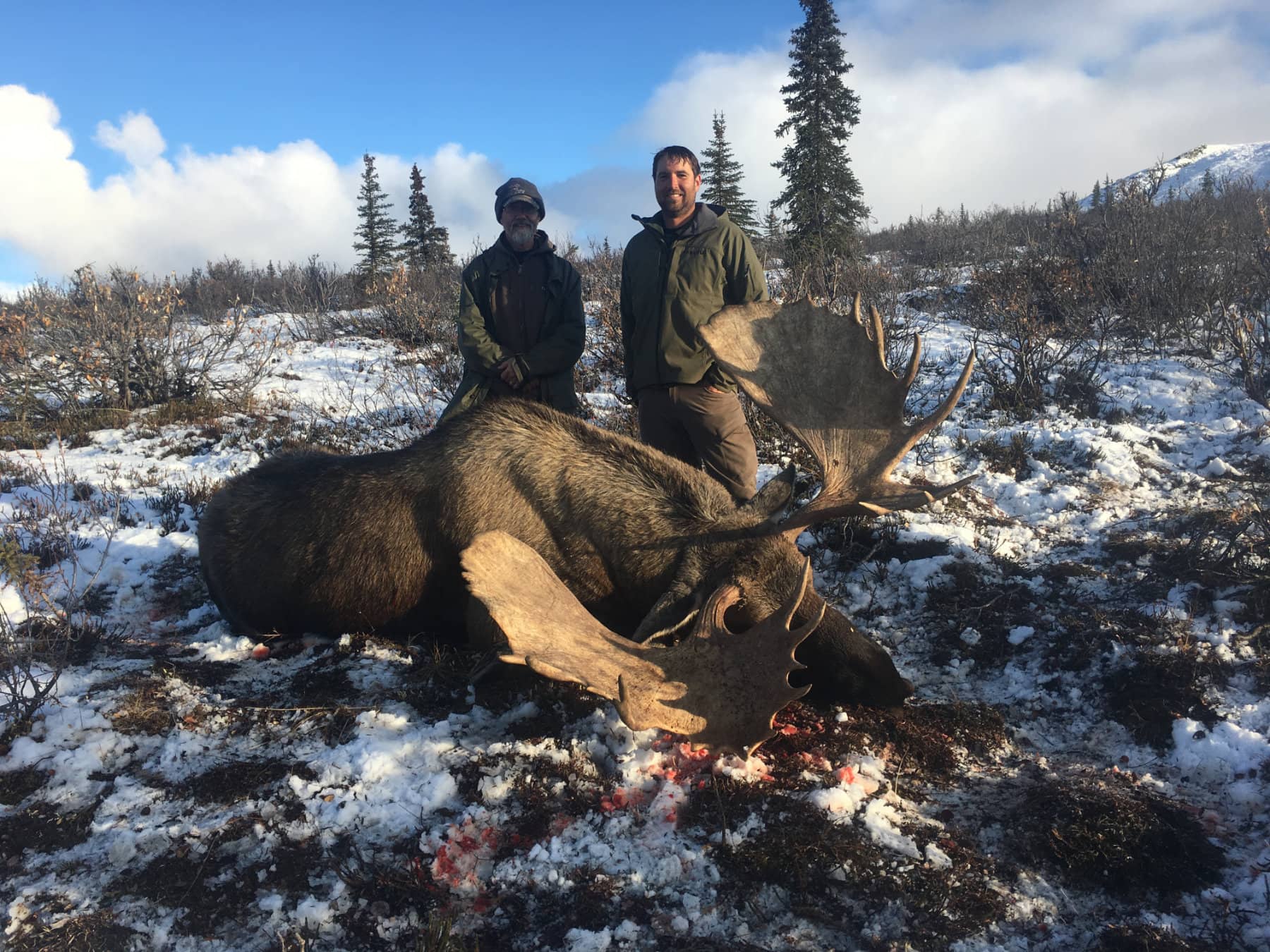 Big Game Guided Moose Hunt