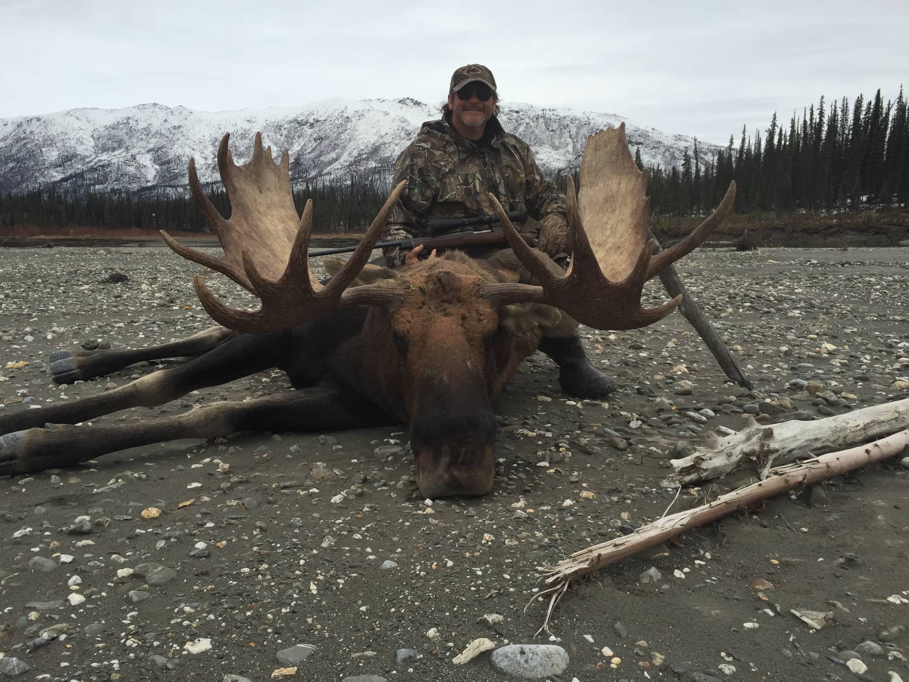 Bull Moose Hunts Alaska
