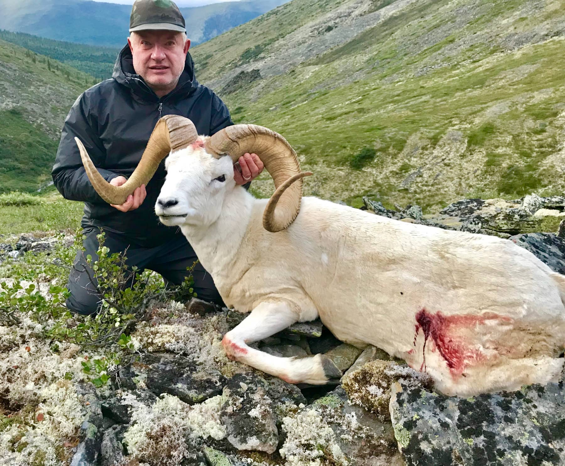 Dall Sheep Guided Hunt