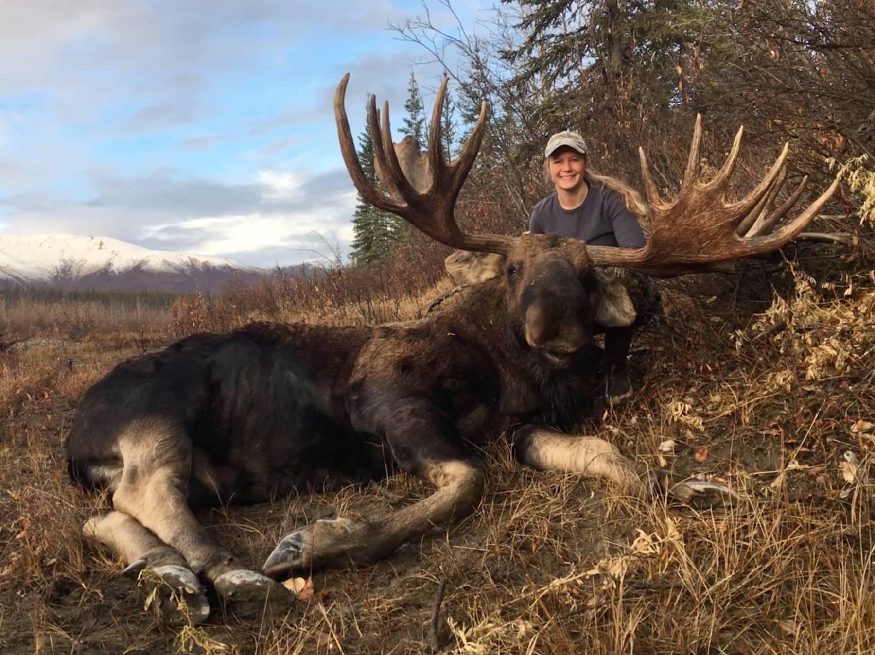 Fall Alaska Moose Hunts