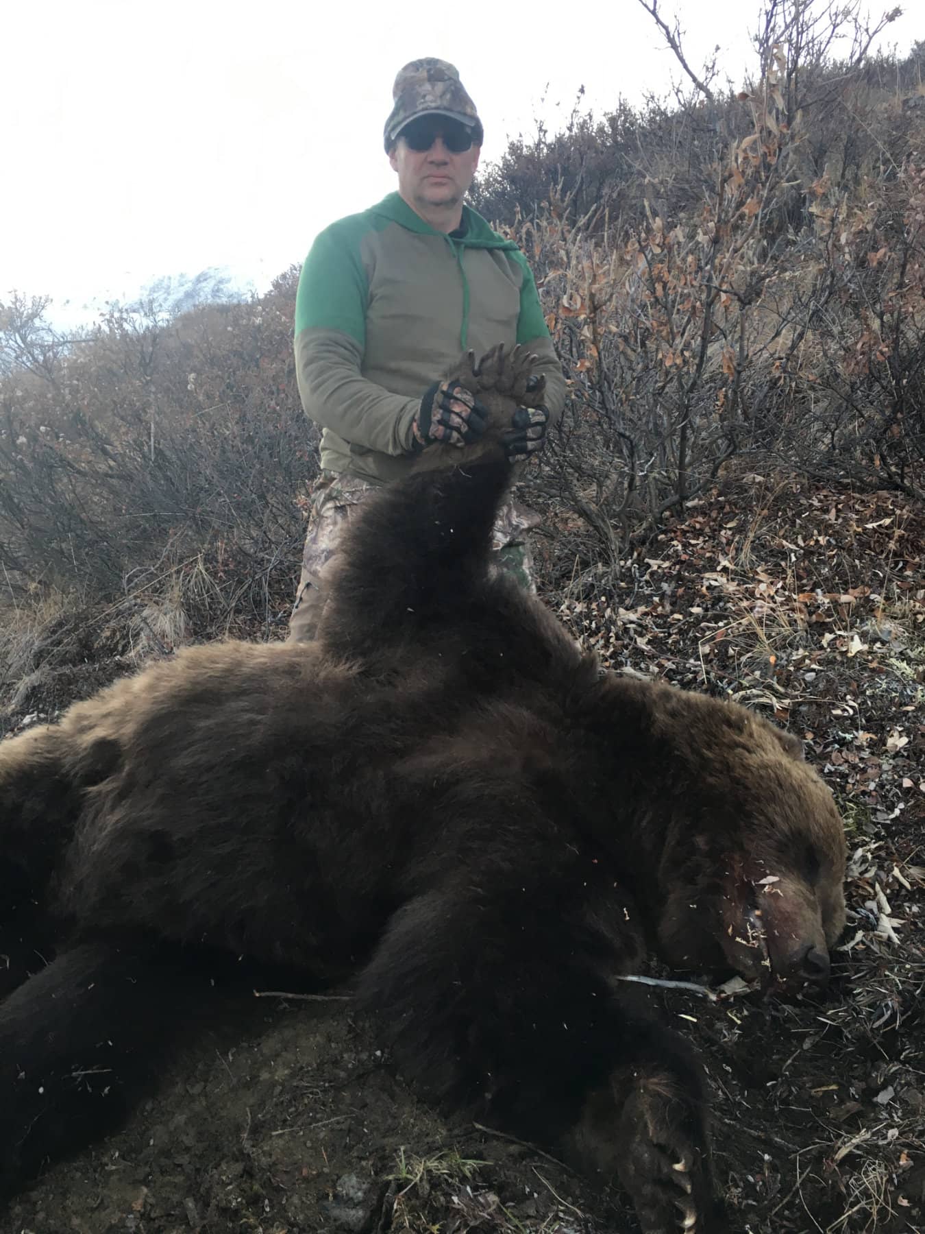Grizzly Guided Hunts