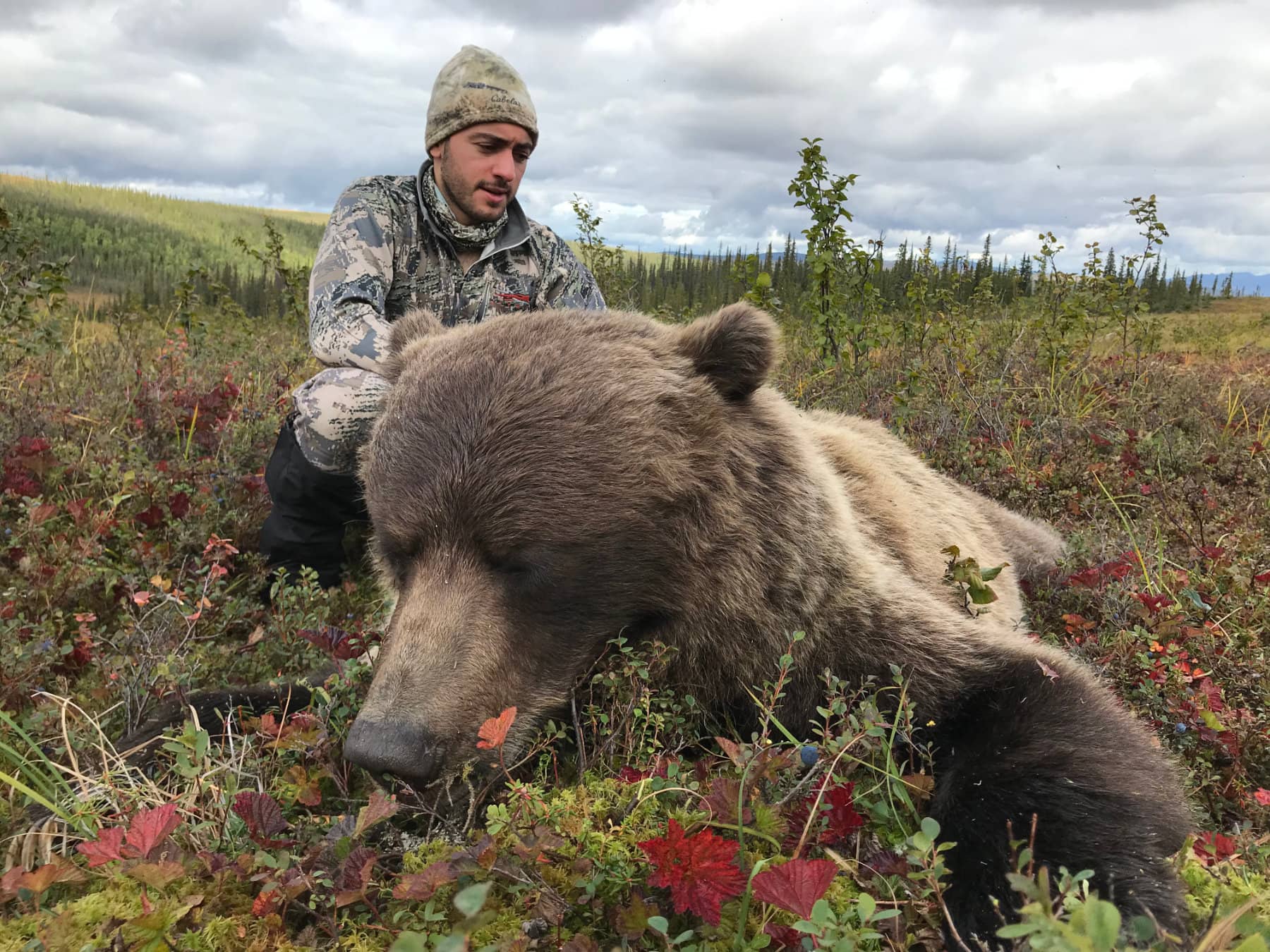 Guided Brooks Range Bear Hunt