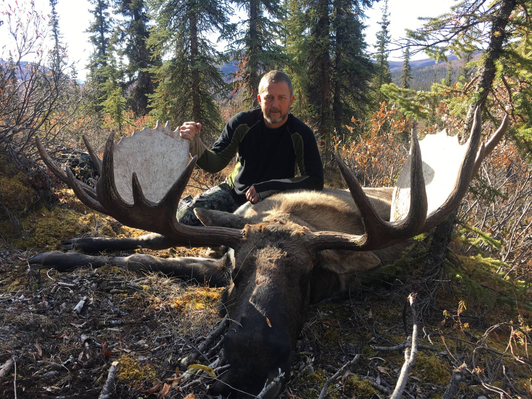 Guided Moose Hunt
