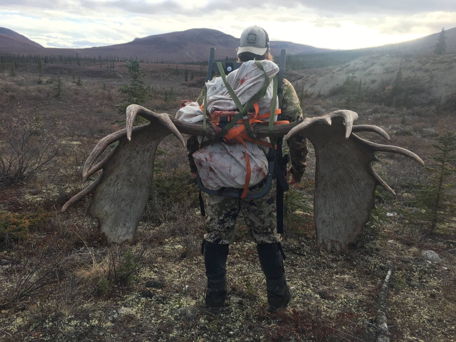 Moose Rack Alaska Hunt