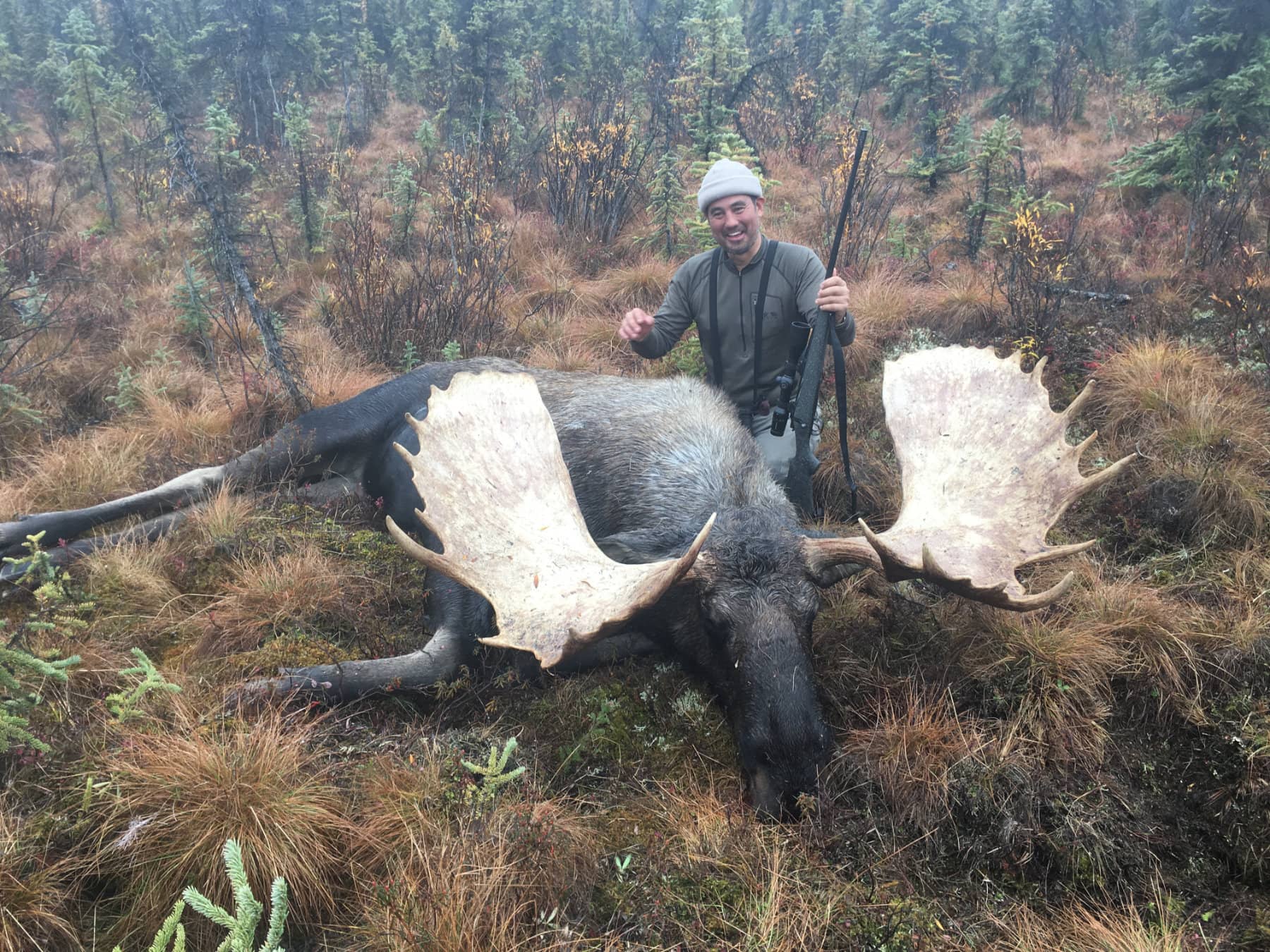 Trophy Guided Moose Hunt
