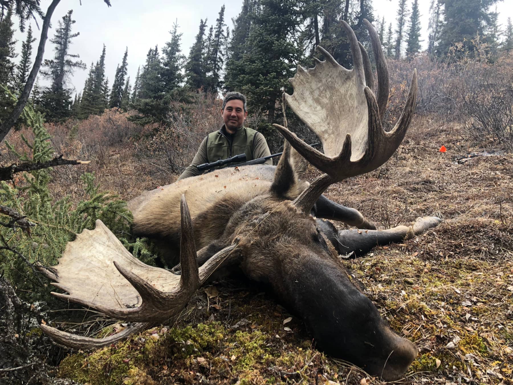 Tyrrells Trails Guided Moose Hunts