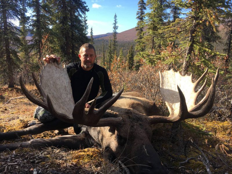 Tyrrells Trails Moose Hunts