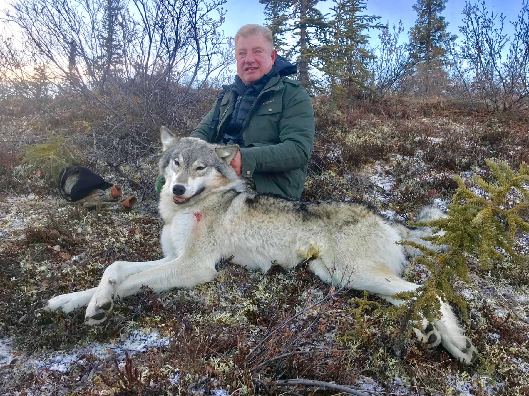 Wolf Hunt AK