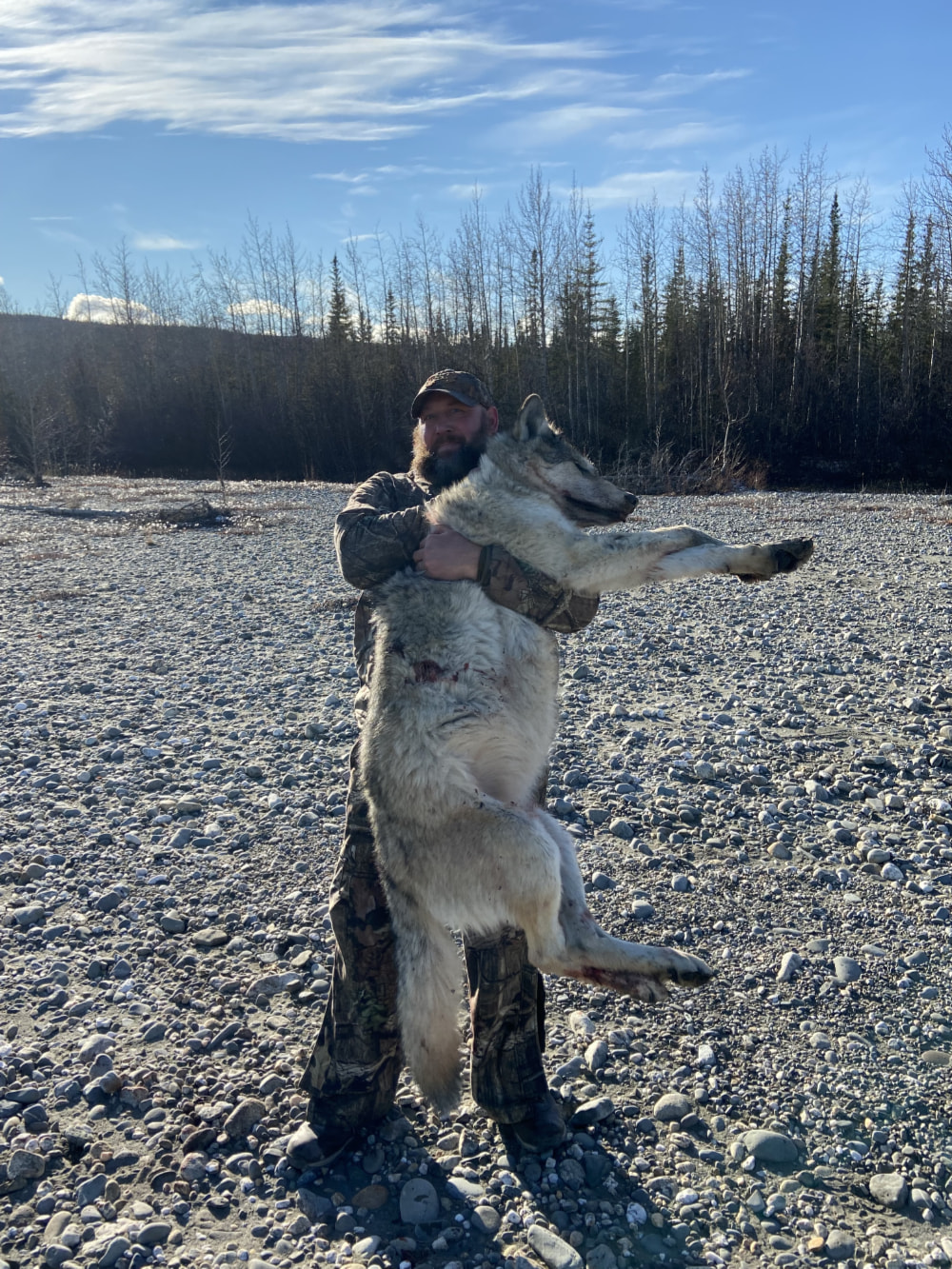 Wolf Hunt Review Alaska