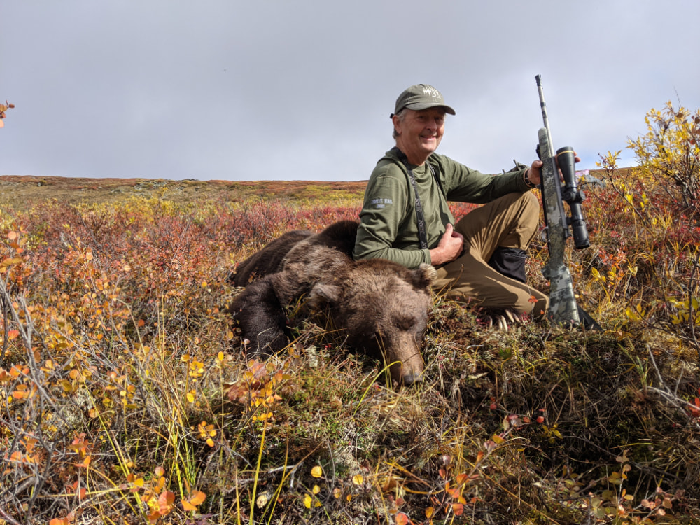 Grizzly Hunt Review Alaska